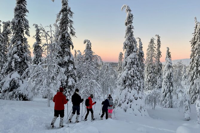 Levi: Snowshoeing adventure in the National Park - Key points to know before booking