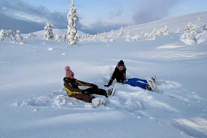 Levi: Snowshoeing adventure in the National Park - Why this national park makes the trip worthwhile