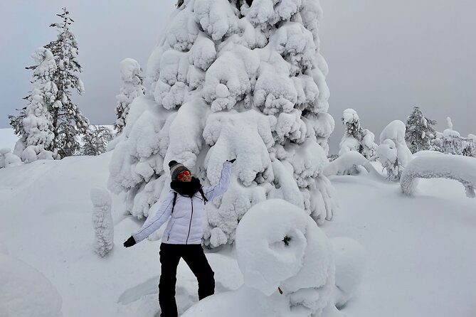 Levi: Snowshoeing adventure in the National Park - Snowy fells, forest air, and a slower pace