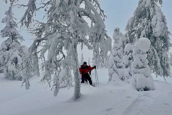 Levi: Snowshoeing adventure in the National Park - Who will enjoy this five-and-a-half-hour outing