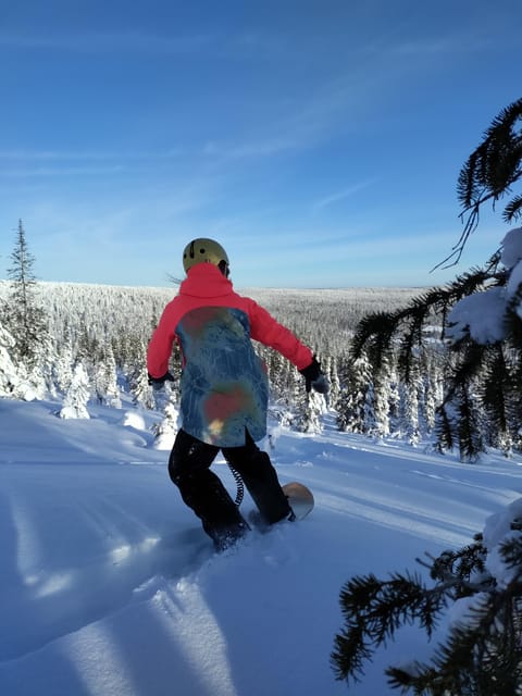 Levi: Snowsurfing Adventure with Snowshoe Hike - Key points to know before you book