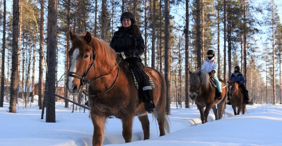 Levi: Snowy Forest Ride and Polar Lights Tours - Key points to know before booking