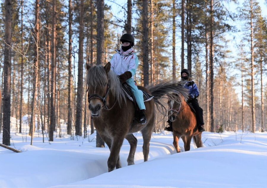 Levi: Snowy Forest Ride and Polar Lights Tours - A quiet way to meet Lapland