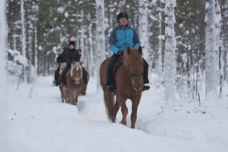Levi: Snowy Forest Ride and Polar Lights Tours - The 10-minute safety briefing