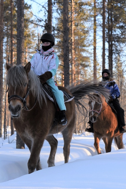 Levi: Snowy Forest Ride and Polar Lights Tours - A photo stop that earns its place