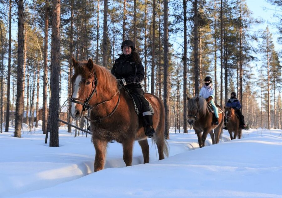 Levi: Snowy Forest Ride and Polar Lights Tours - Meeting the bus at Hissitie 11