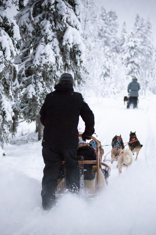 Levi: Winter Highlights Family Day - The price and what you receive