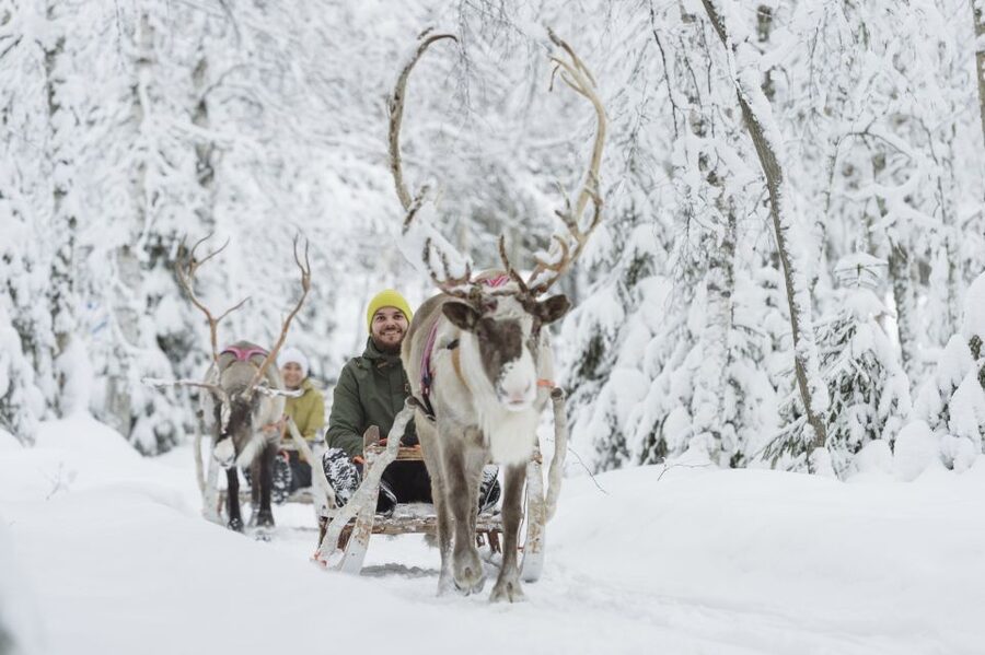 Levi: Winter Highlights Tour with Snowmobiling - Why this tour works for a first Lapland day