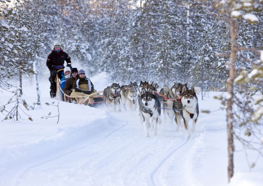 Levi: Winter Highlights Tour with Snowmobiling - Snowmobiling across frozen Lapland