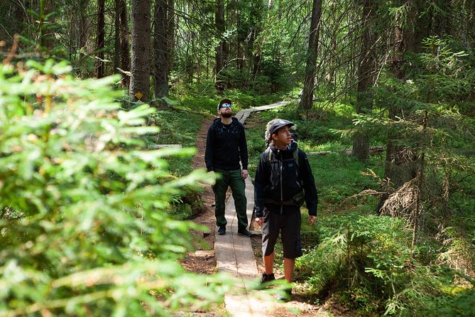 Magical Taiga Forest Hike with Lunch and Transportation - The Taiga lesson: mushrooms, berries, and small signs