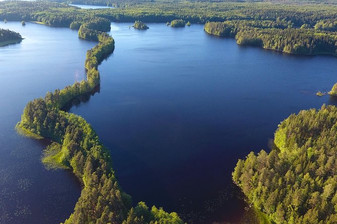 Magical Taiga Forest Hike with Lunch and Transportation - The return walk and the ride back