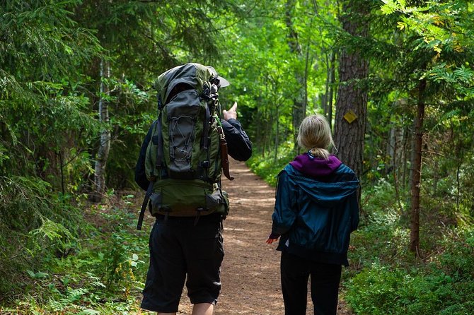 Magical Taiga Forest Hike with Lunch and Transportation - Weather, clothing, and comfort