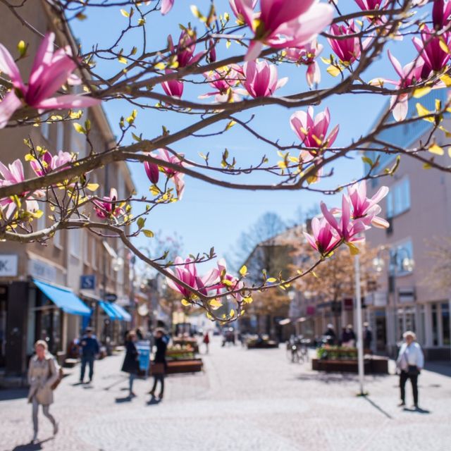 Mariehamn Private Guided Walking Tour - Final verdict: a good private introduction to Åland’s capital