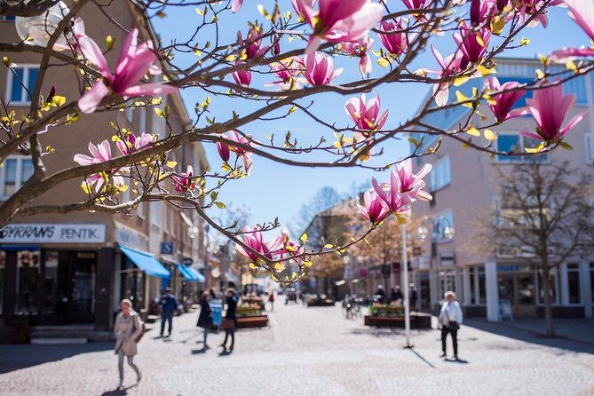 Mariehamn Private Guided Walking Tour - Meeting your guide and getting oriented