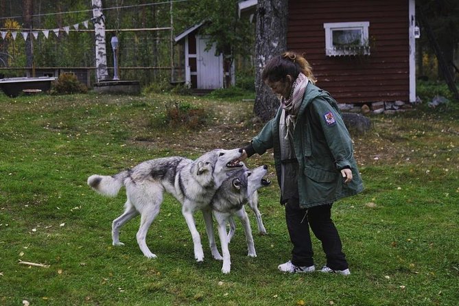 Meet Taivas & the Arctic Wolves - Private Tour - Who will enjoy this visit most?