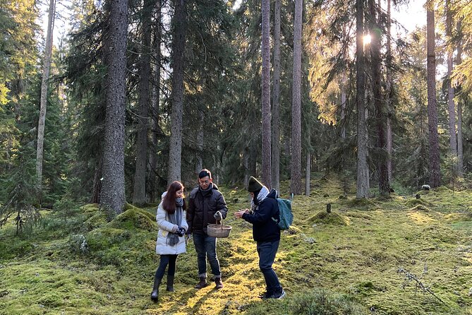 Mushroom Hunting in a National Park - Returning through the forest and back to Helsinki