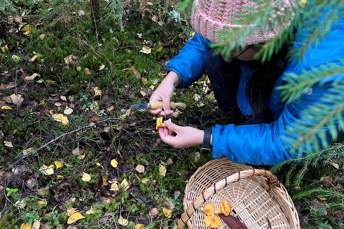 Mushroom Hunting in a National Park - Is $186.22 a fair price?