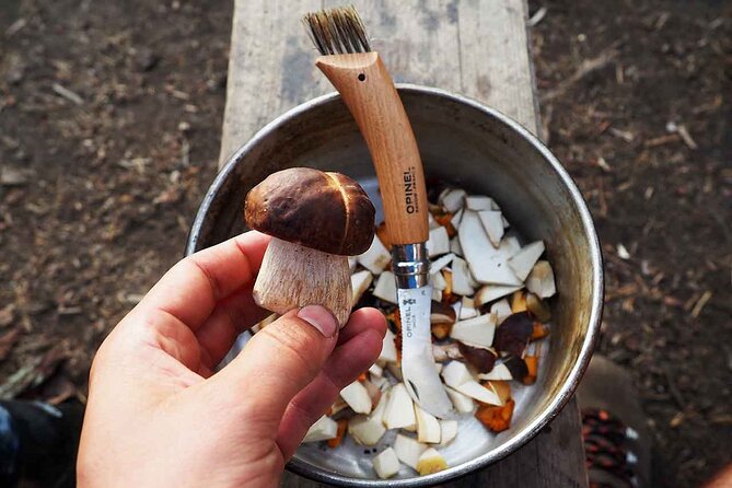Mushroom Hunting in a National Park - Who will enjoy this day most?