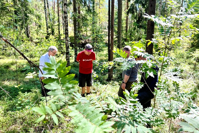 National Park Hike & Finnish Smoke Sauna Experience with Campfire Lunch - The Smoke Sauna and Cold Lake Ritual