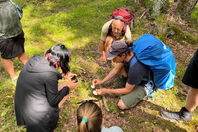 National Park Hike & Finnish Smoke Sauna Experience with Campfire Lunch - Who Should Book This Experience?