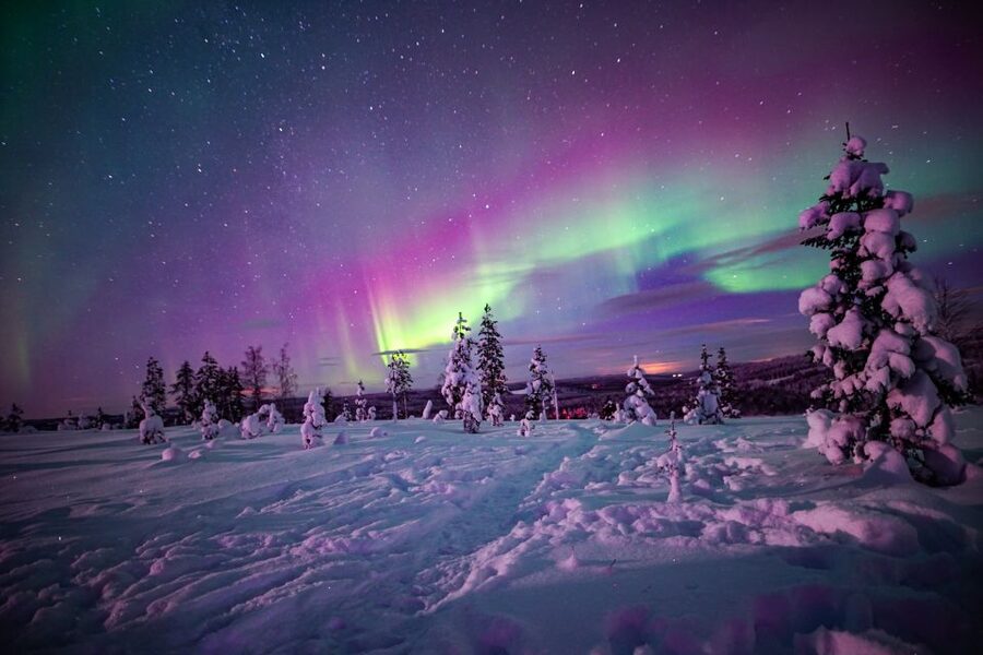 Night Snowshoeing Adventure under the Northern Lights - Booking Details Worth Knowing Before You Go