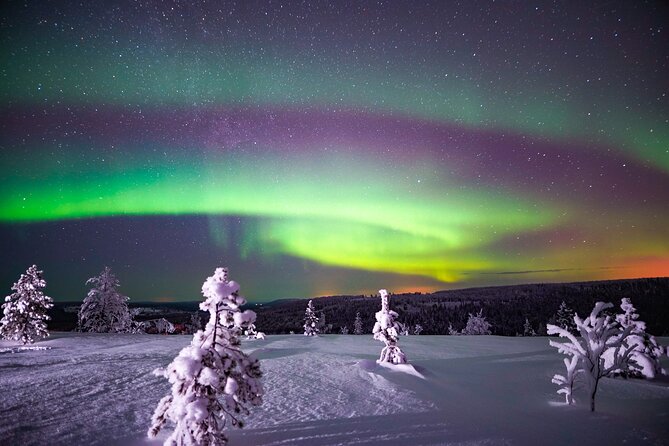 Night Snowshoeing Adventure under the Northern Lights - Starting in Rovaniemi and Heading Into the Dark