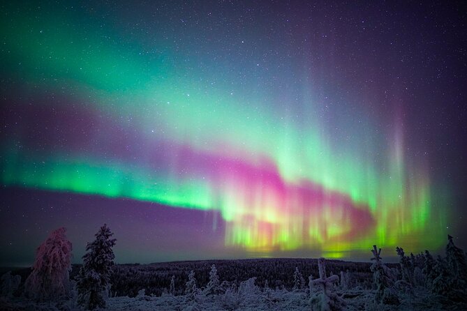 Night Snowshoeing Adventure under the Northern Lights - Snowshoeing Through Forest, Ice, and Silence