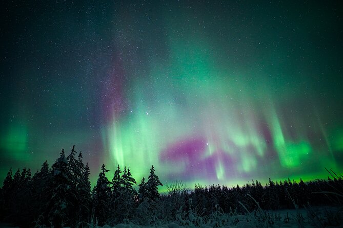 Night Snowshoeing Adventure under the Northern Lights - The Campfire Break and Flint-and-Steel Lesson