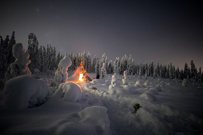 Night Snowshoeing Adventure under the Northern Lights - Is $123 a Fair Price?