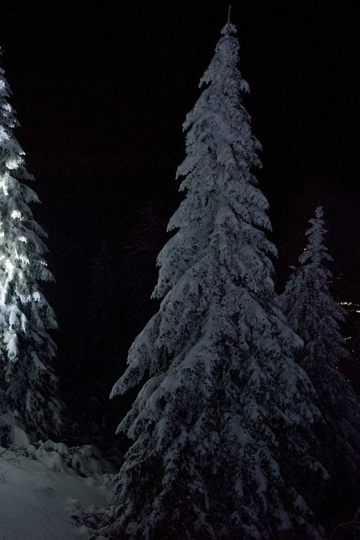 Night Snowshoeing Lapland Experience - Setting out into Rovaniemi after dark