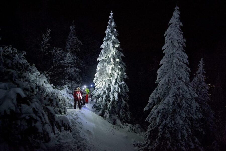 Night Snowshoeing Lapland Experience - Snowshoes, headlights, and the rhythm of the walk
