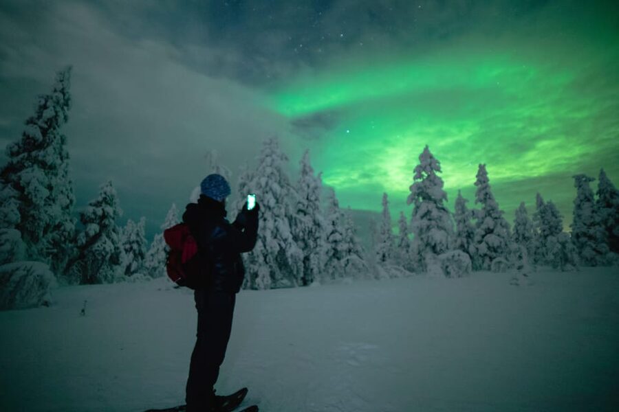 Night Snowshoeing Lapland Experience - Is $176 fair for three hours?