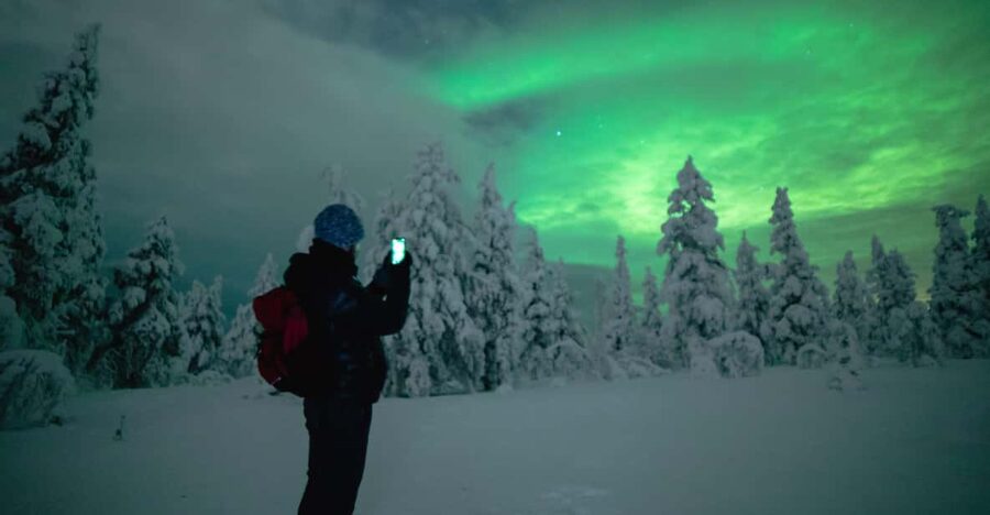 Night Snowshoeing Lapland Experience - Forest trails or a frozen lake