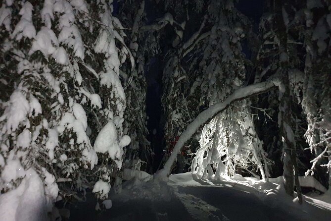 Nocturnal Skiing: Experience the Arctic's Magic - Meeting Kyle at the family cabin