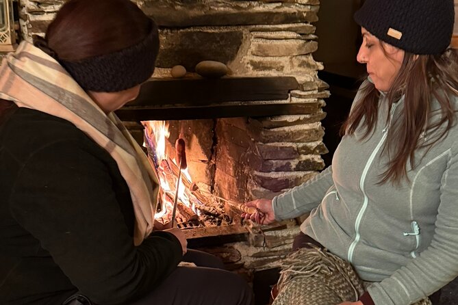 Northern Lights Adventure in the Wild with Campfire Treats - Price, group size, and overall value