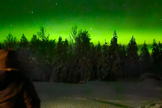 Northern Lights Auroras from Kemi-Tornio with Pickup - What $118.63 buys you