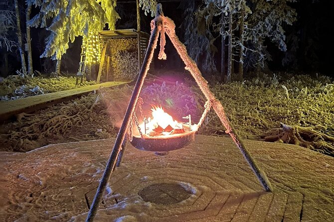 Northern Lights dinner in a Glass Igloo - Guides and the feel of the service