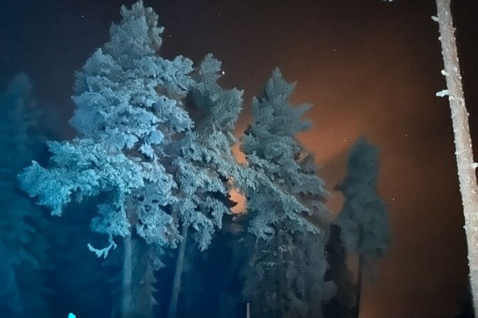 Northern Lights dinner in a Glass Igloo - Who should book this Rovaniemi evening?