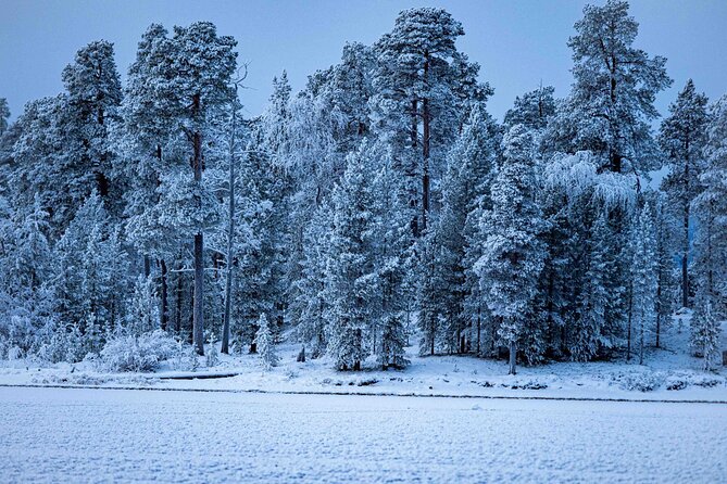 Northern Lights Holiday in Finland - Day 3: Ice fishing, open-fire lunch, and a sauna choice