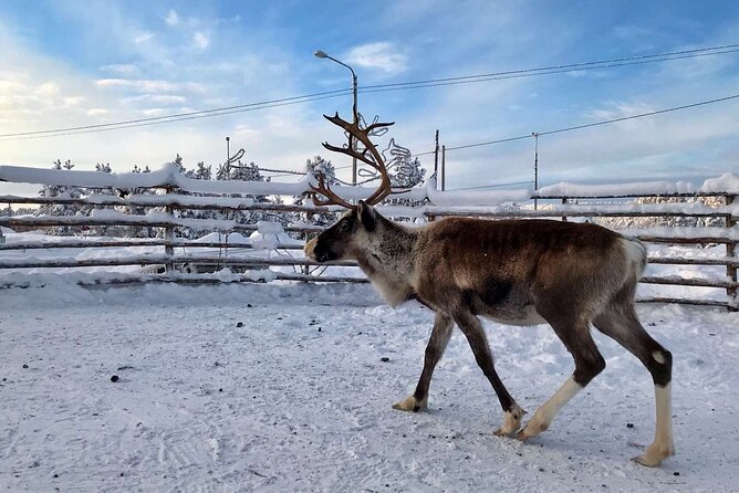 Northern Lights Holiday in Finland - What is included, and where the value lies
