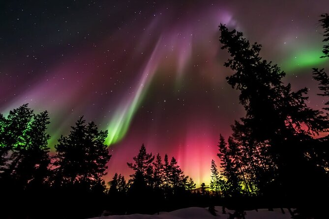 Northern Lights Hunt from Rovaniemi with Folk Tales and Snacks over Campfire - Who will enjoy this Rovaniemi night?