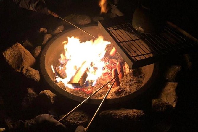 Northern Lights Hunt Including Snacks on Campfire from Levi - Booking, cancellation, and weather rules