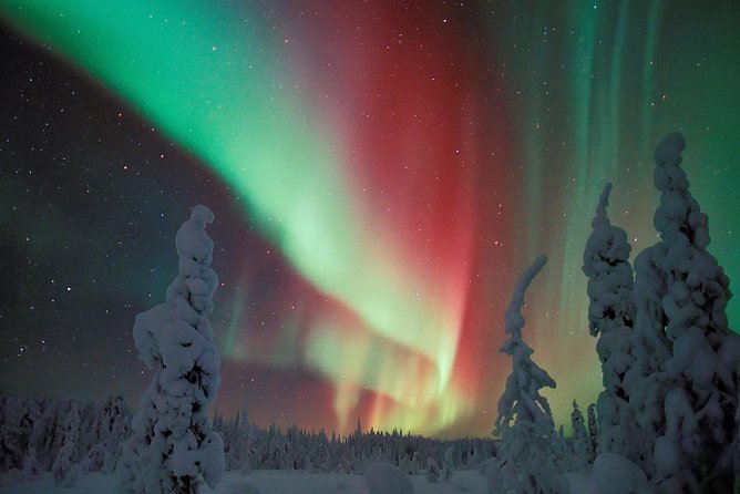 Northern Lights Hunt Including Snacks on Campfire from Levi - A campfire, hot drink, and simple Lapland food