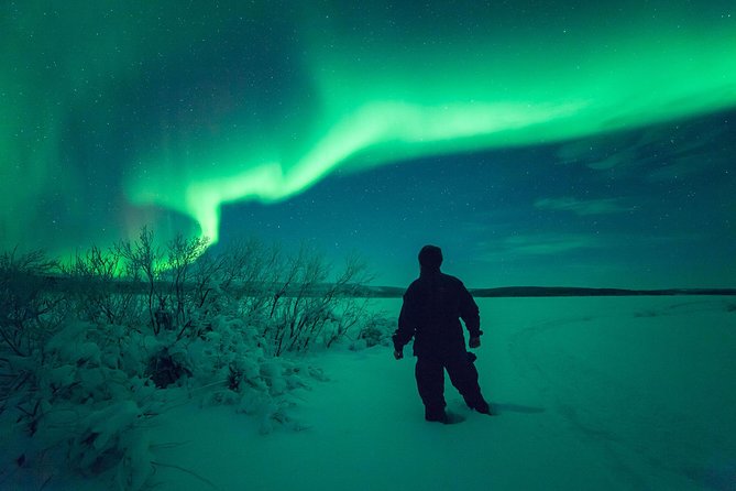Northern Lights Hunt Including Snacks on Campfire from Rovaniemi - Is $144.83 a fair price?