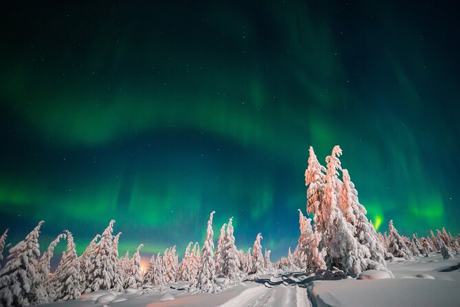 Northern Lights Hunting of Rovaniemi - Is $89.36 a fair price?