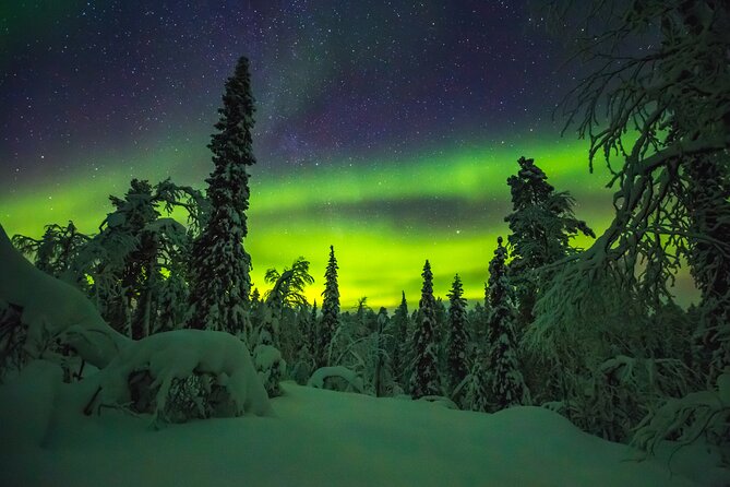 Northern Lights Hunting of Rovaniemi - Who should book this aurora hunt?