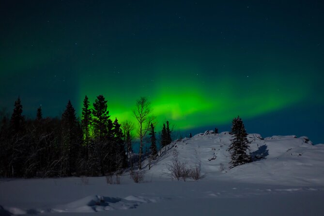 Northern Lights Hunting of Rovaniemi - A campfire stop with real Lapland comfort