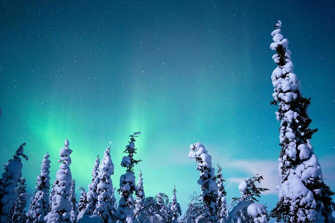 Northern Lights Hunting Photography Tour in Levi - Staying warm beside the Arctic sky