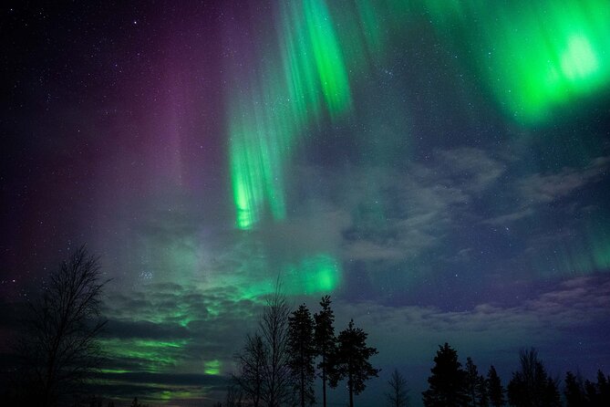 Northern Lights Hunting Photography Tour in Levi - Why the route may include two or three stops