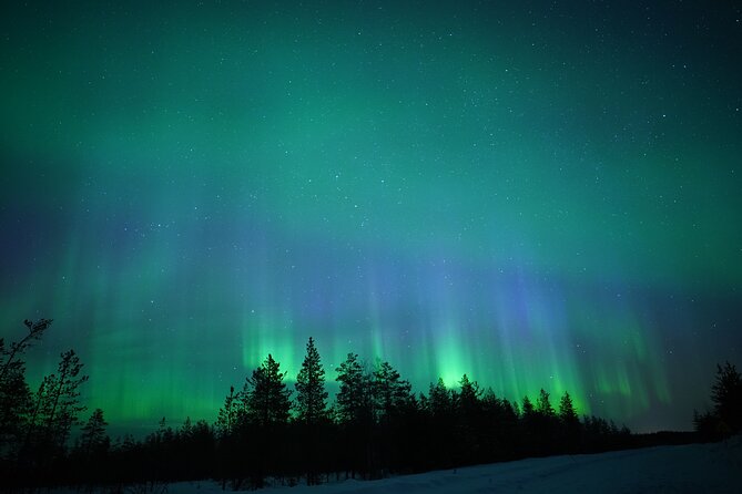 Northern Lights Hunting Photography Tour in Rovaniemi Finland - Key points to know before booking